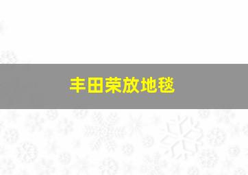 丰田荣放地毯