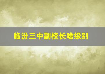 临汾三中副校长啥级别