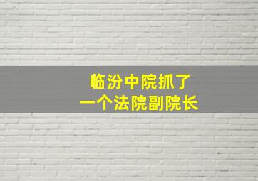 临汾中院抓了一个法院副院长