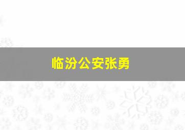 临汾公安张勇