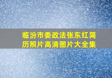 临汾市委政法张东红简历照片高清图片大全集