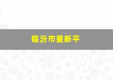 临汾市董新平