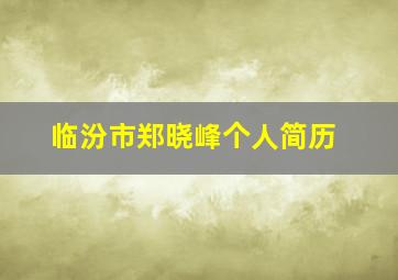 临汾市郑晓峰个人简历