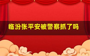 临汾张平安被警察抓了吗