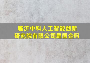 临沂中科人工智能创新研究院有限公司是国企吗