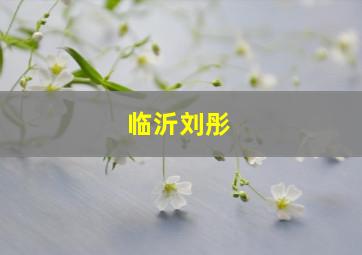 临沂刘彤