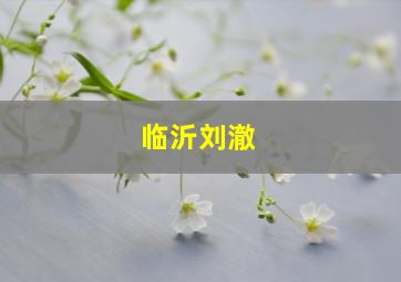 临沂刘澈