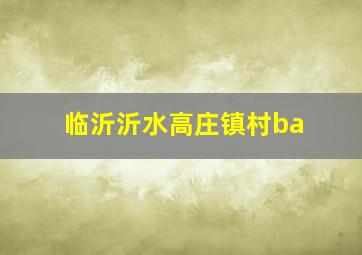 临沂沂水高庄镇村ba