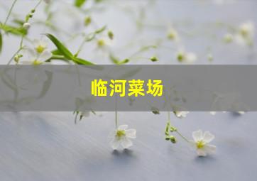 临河菜场