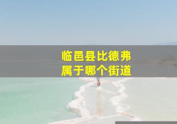 临邑县比德弗属于哪个街道