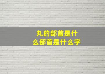 丸的部首是什么部首是什么字