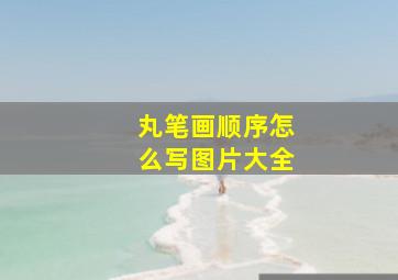 丸笔画顺序怎么写图片大全