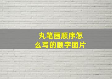 丸笔画顺序怎么写的顺字图片