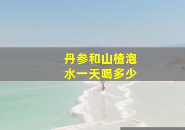 丹参和山楂泡水一天喝多少