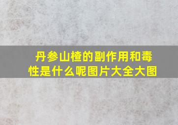 丹参山楂的副作用和毒性是什么呢图片大全大图