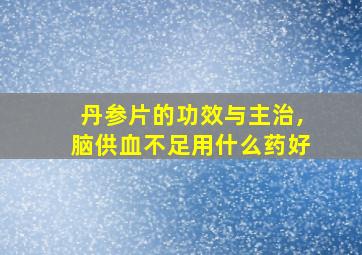 丹参片的功效与主治,脑供血不足用什么药好