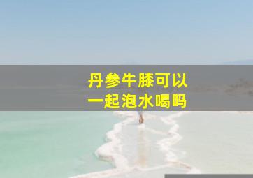 丹参牛膝可以一起泡水喝吗