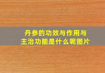 丹参的功效与作用与主治功能是什么呢图片