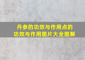 丹参的功效与作用点的功效与作用图片大全图解