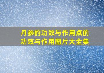 丹参的功效与作用点的功效与作用图片大全集