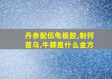 丹参配伍龟板胶,制何首乌,牛膝是什么金方