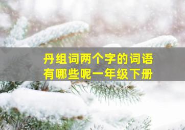 丹组词两个字的词语有哪些呢一年级下册