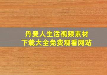 丹麦人生活视频素材下载大全免费观看网站