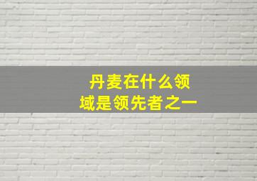 丹麦在什么领域是领先者之一