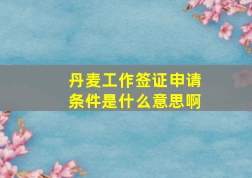 丹麦工作签证申请条件是什么意思啊