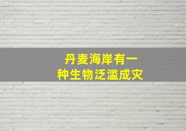 丹麦海岸有一种生物泛滥成灾