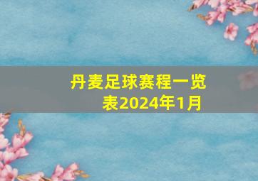 丹麦足球赛程一览表2024年1月