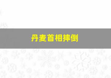 丹麦首相摔倒