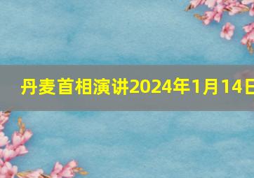 丹麦首相演讲2024年1月14日