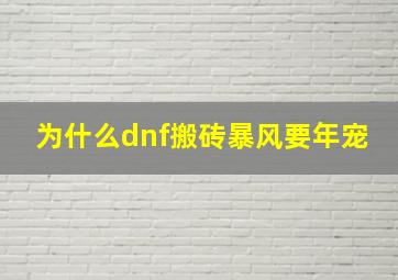 为什么dnf搬砖暴风要年宠