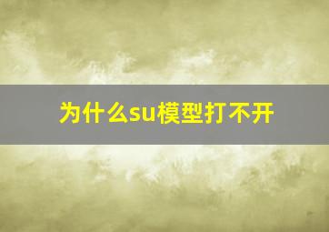 为什么su模型打不开