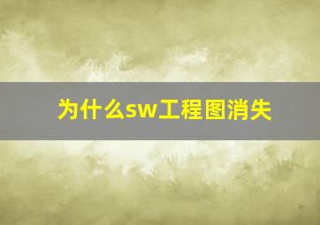 为什么sw工程图消失