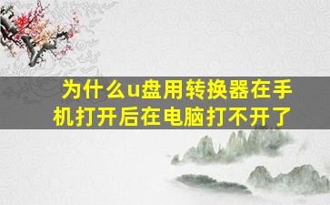 为什么u盘用转换器在手机打开后在电脑打不开了