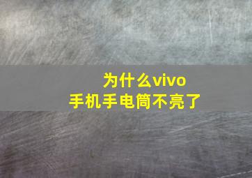 为什么vivo手机手电筒不亮了