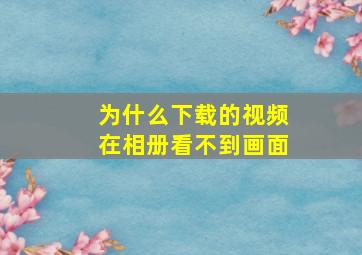 为什么下载的视频在相册看不到画面