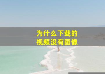 为什么下载的视频没有图像