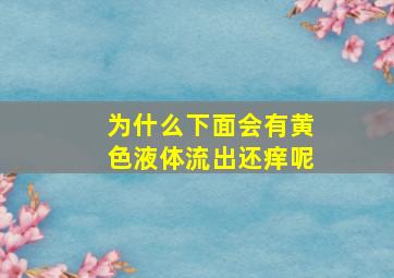 为什么下面会有黄色液体流出还痒呢