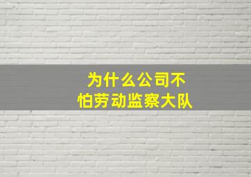 为什么公司不怕劳动监察大队