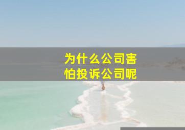 为什么公司害怕投诉公司呢