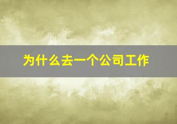 为什么去一个公司工作