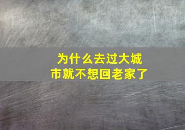 为什么去过大城市就不想回老家了