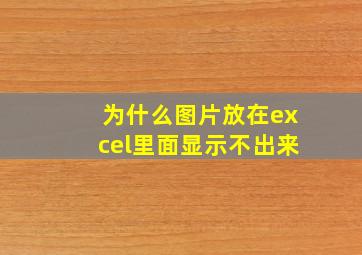 为什么图片放在excel里面显示不出来