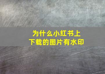 为什么小红书上下载的图片有水印