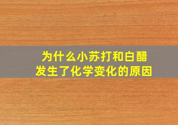 为什么小苏打和白醋发生了化学变化的原因