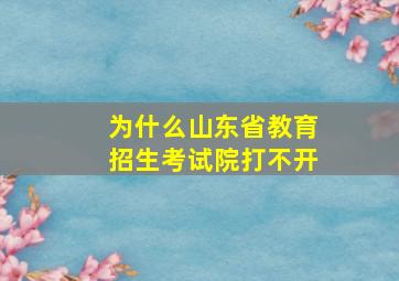 为什么山东省教育招生考试院打不开