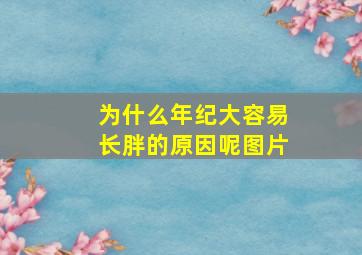 为什么年纪大容易长胖的原因呢图片